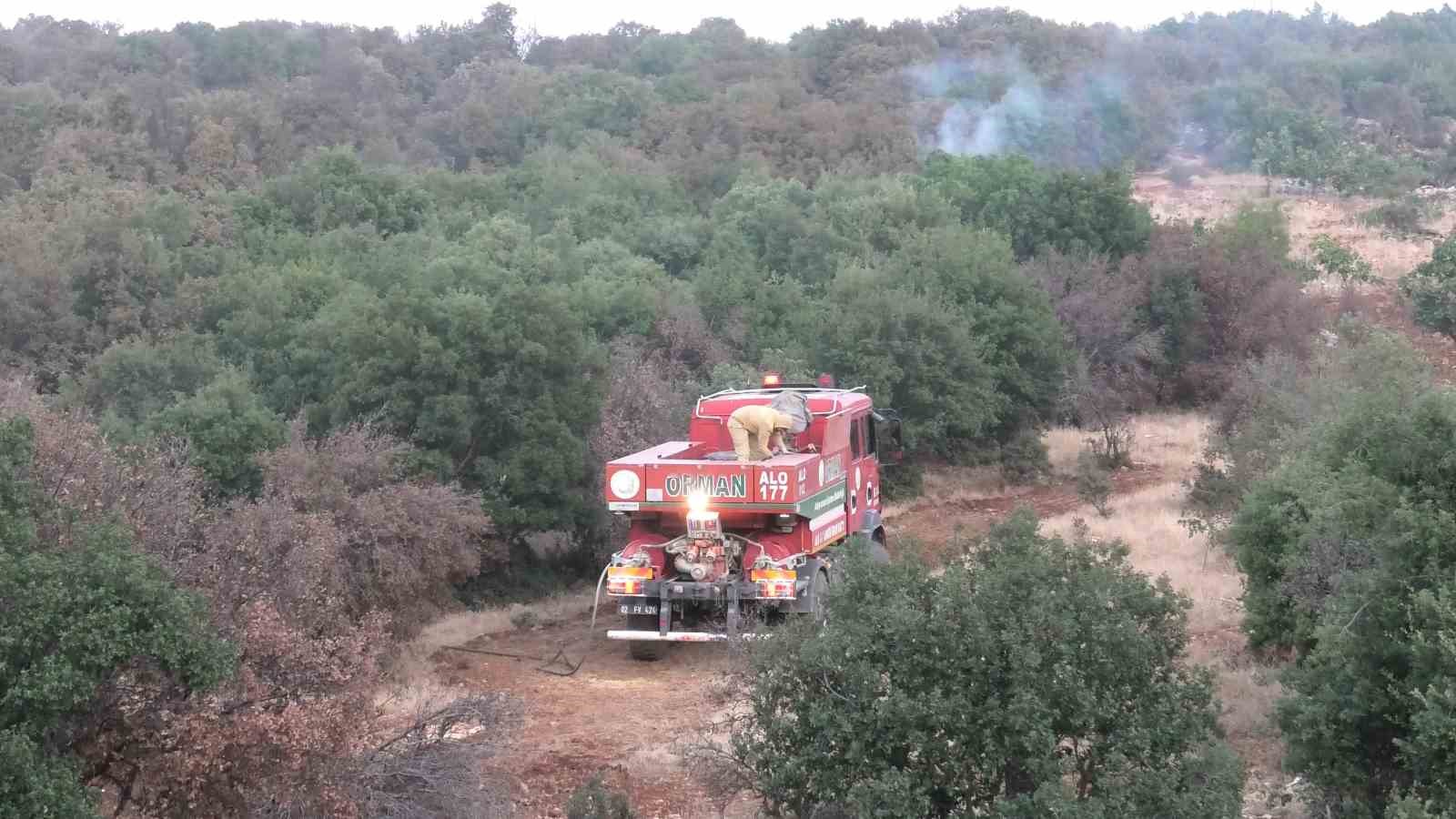 Orman yangını korkuttu