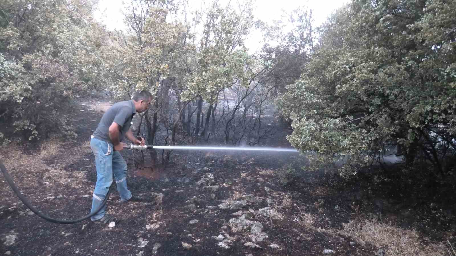 Orman yangını korkuttu