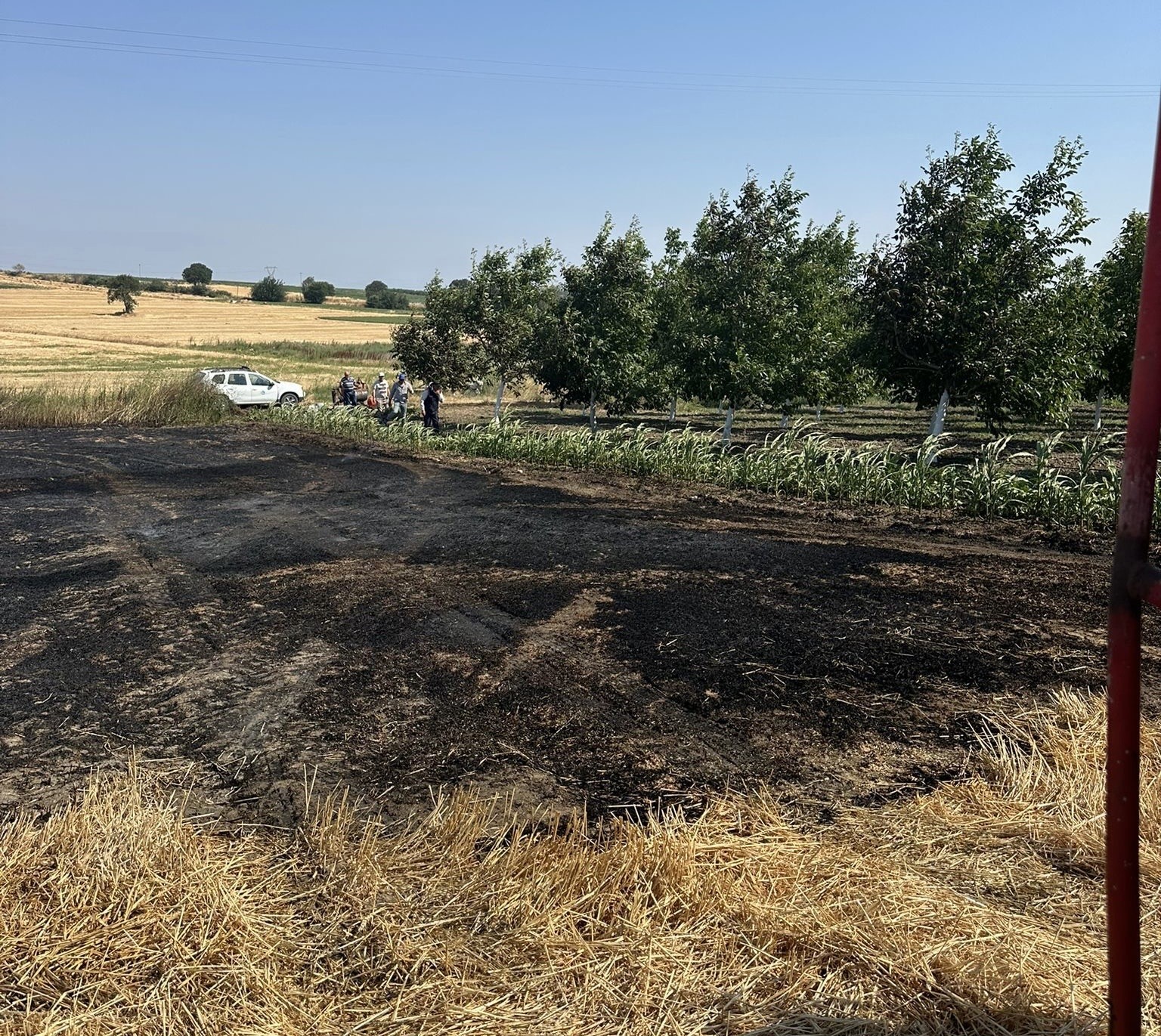 Bandırma’da çıkan anız yangını büyümeden söndürüldü