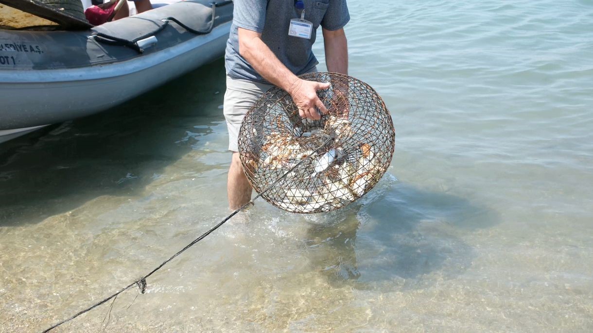 Bodrum’da deniz dibinden 370 kilogram atık çıkarıldı