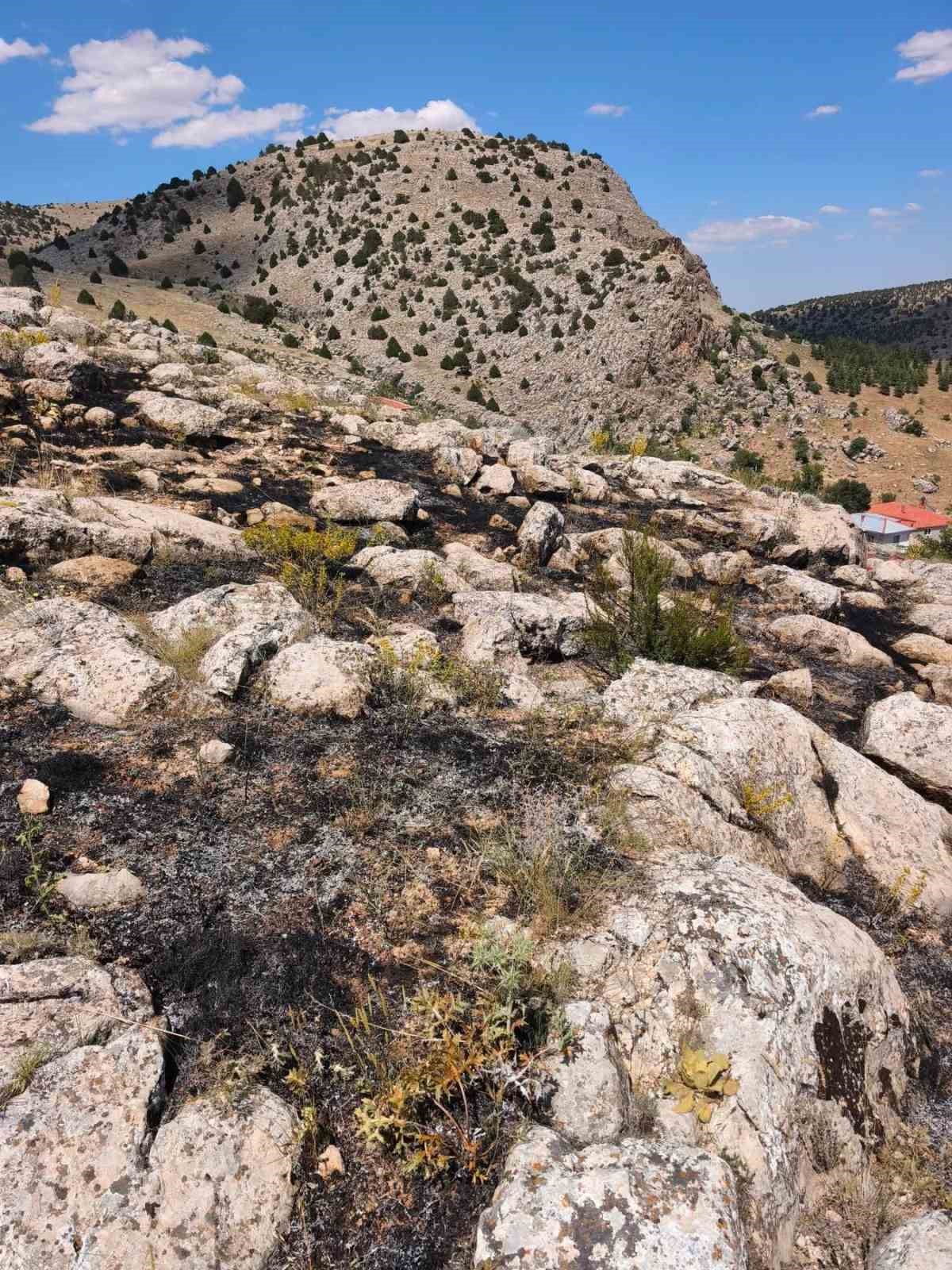 Burdur’da orman yangını büyümeden söndürüldü