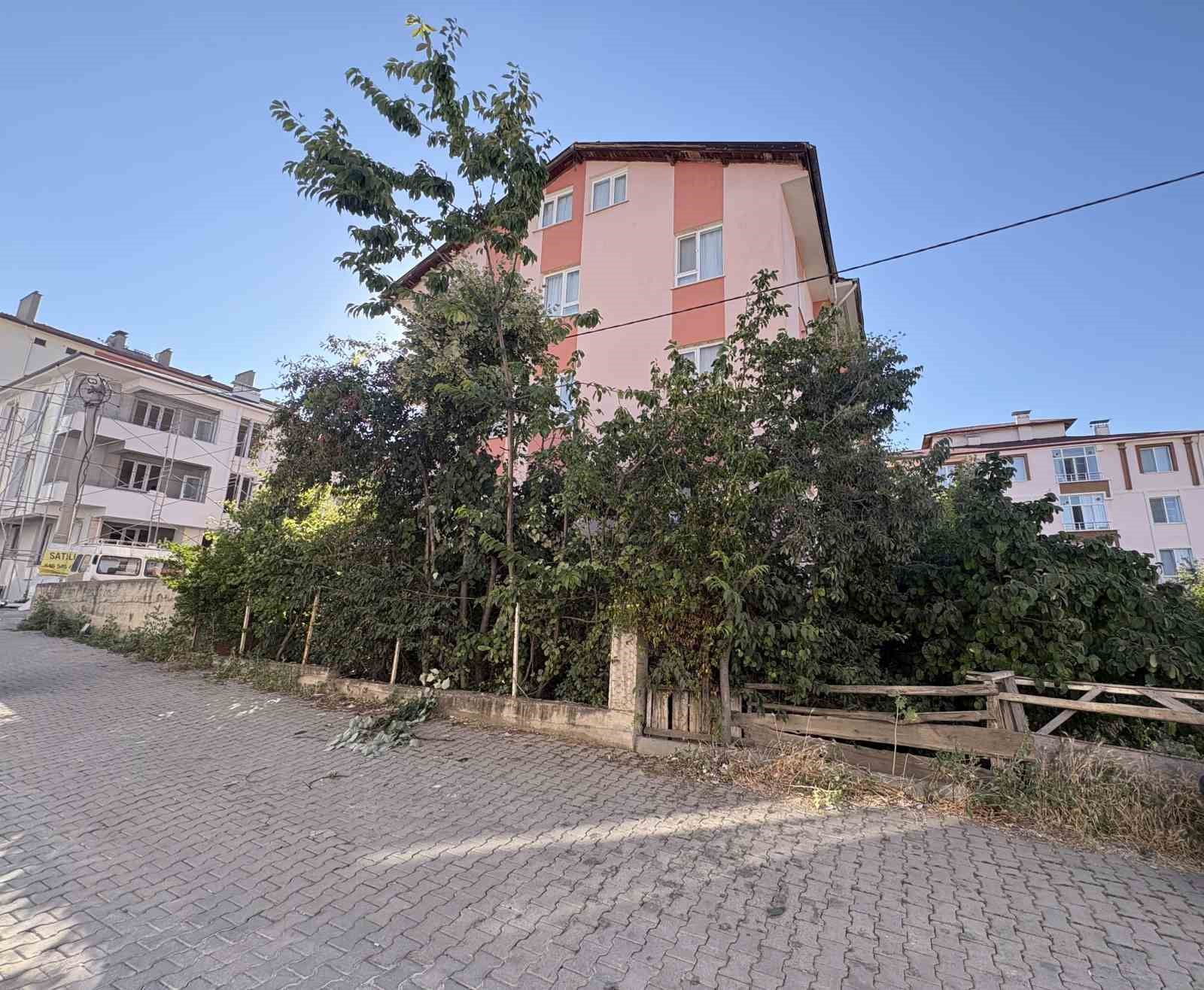 Ihlamur ağacından düşen emekli öğretmen yaralandı