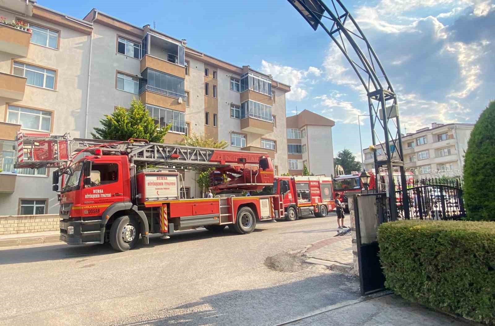 Yangında duygulandıran kurtarma: Anne kedi ve 2 yavrusu hayata döndürüldü