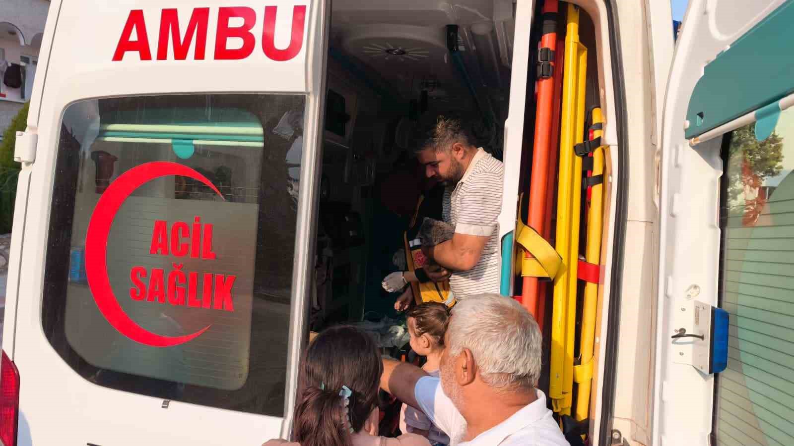 Yangında duygulandıran kurtarma: Anne kedi ve 2 yavrusu hayata döndürüldü