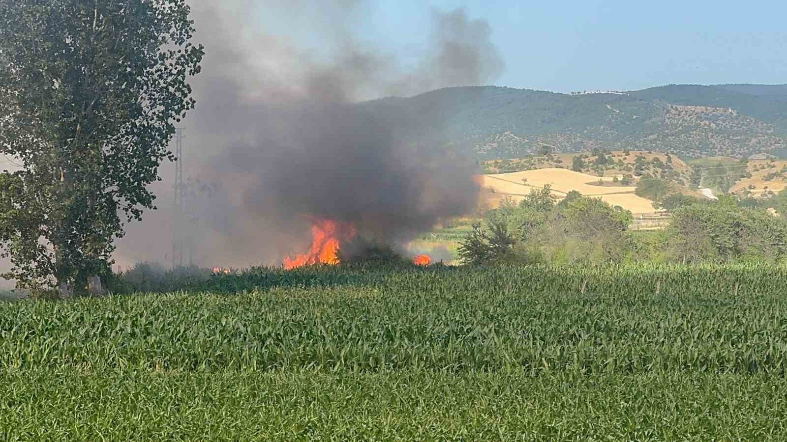 Kastamonu’da buğday tarlası alev alev yandı