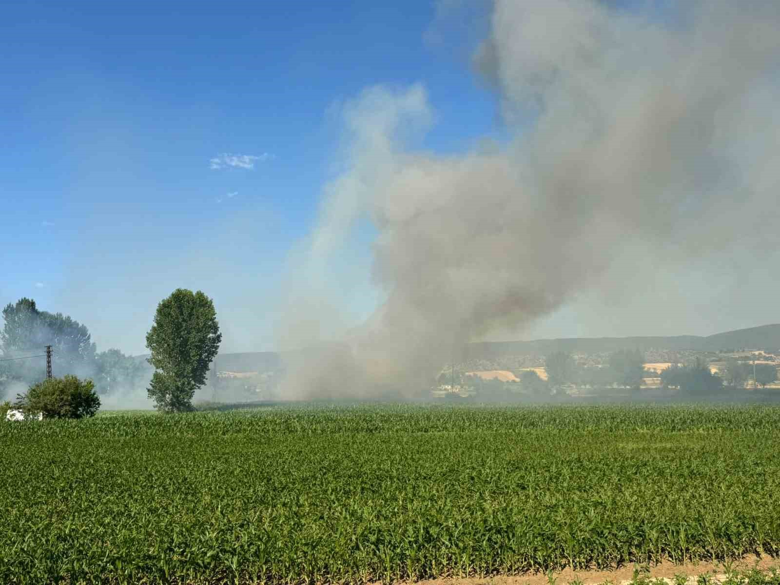 Kastamonu’da buğday tarlası alev alev yandı