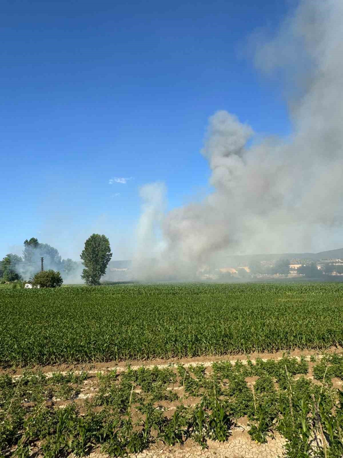 Kastamonu’da buğday tarlası alev alev yandı