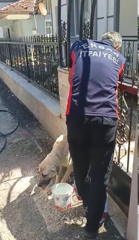 Demir kapıya sıkışan köpeği itfaiye kurtardı