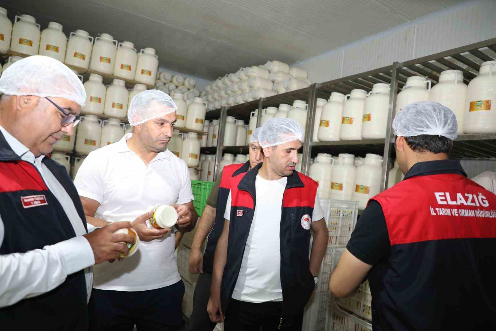 Elazığ’da tulum peynirinde üretim süreci yerinde incelendi
