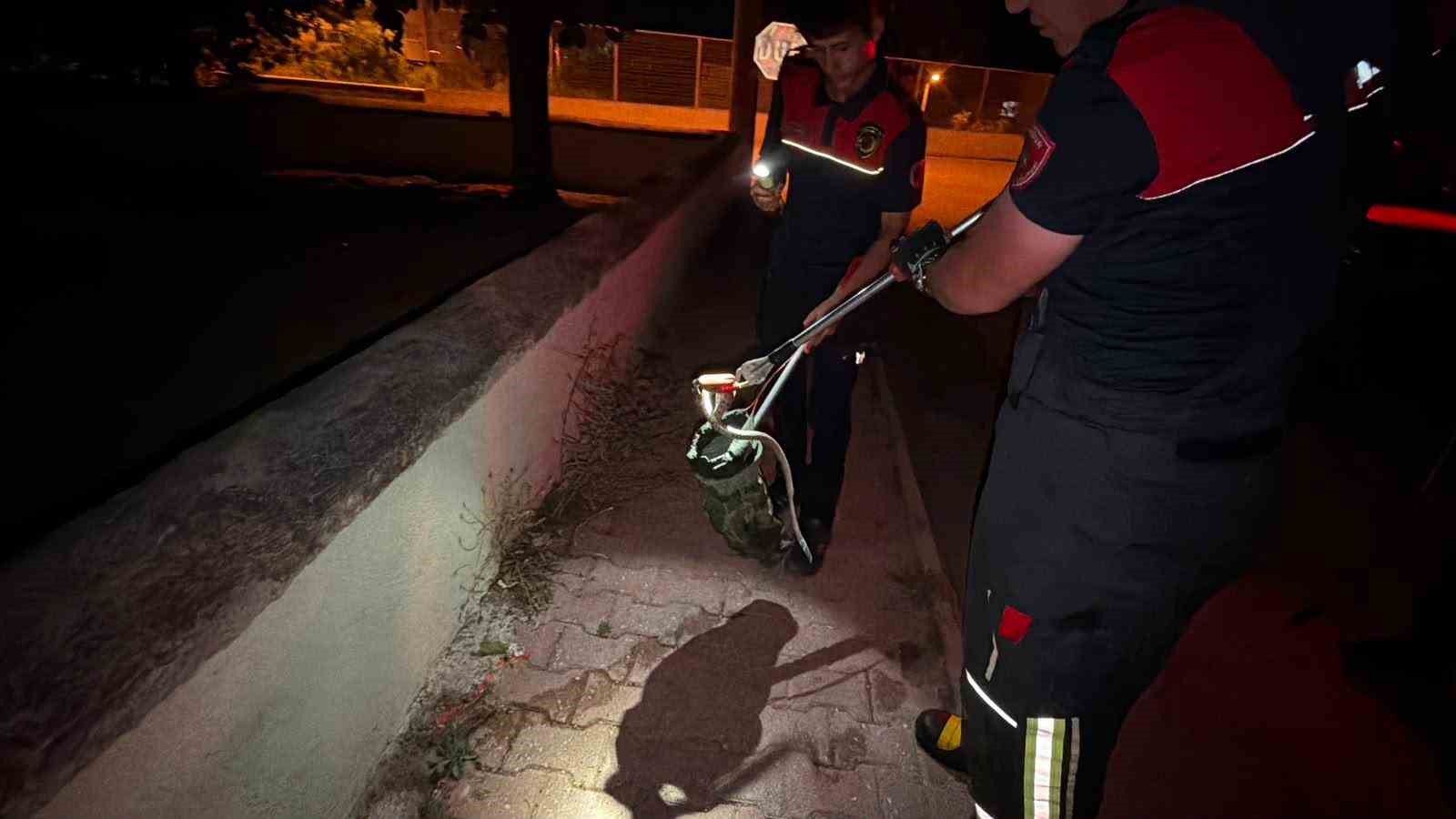 Burdur’da caminin yanında yakalanan yılan, doğal yaşam alanına salındı