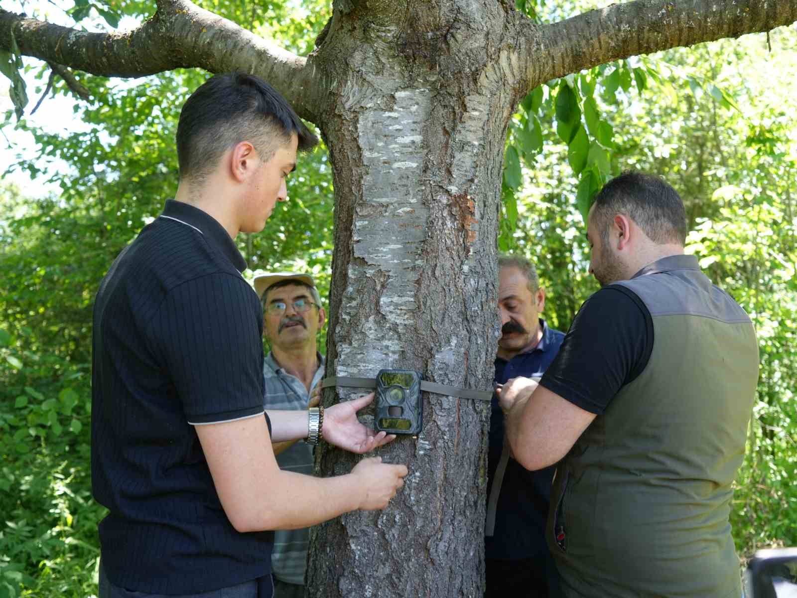 Şehir merkezine yakın köylere kadar inen ayı için Milli Parklar fotokapan kurdu