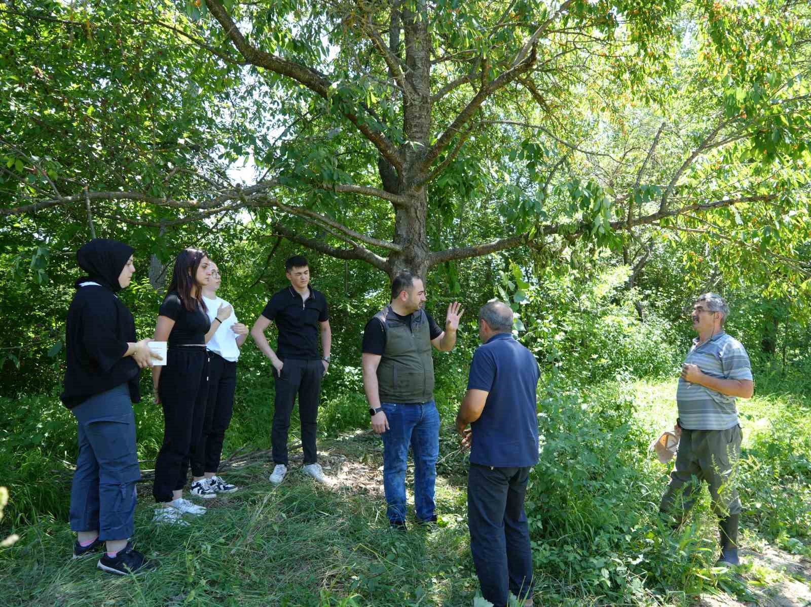 Şehir merkezine yakın köylere kadar inen ayı için Milli Parklar fotokapan kurdu