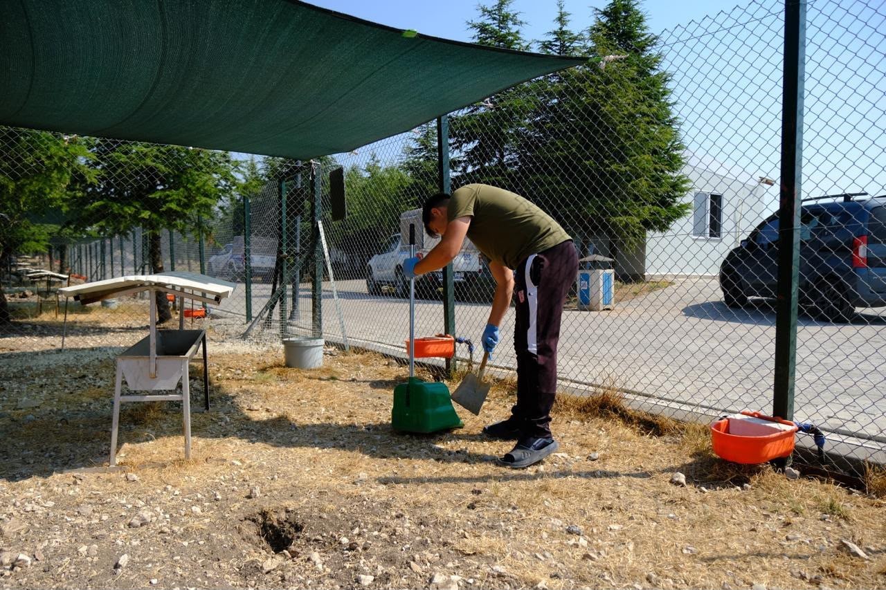 Altıeylül’de can dostlar güvende