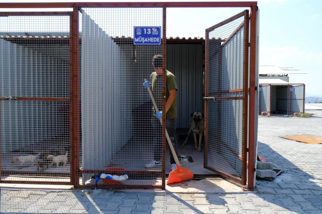 Altıeylül’de can dostlar güvende