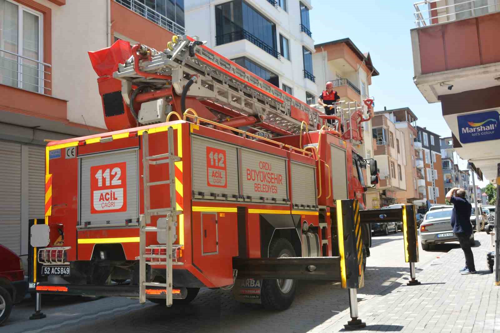 Ordu’da itfaiye ekipleri, ebabil kuşu için seferber oldu