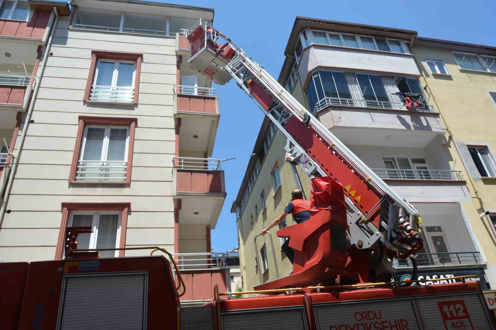 Ordu’da itfaiye ekipleri, ebabil kuşu için seferber oldu
