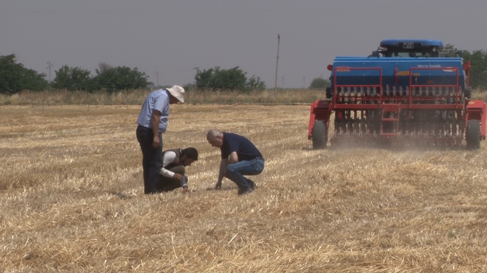 Şanlıurfa’da ’anız yakmadan üretim’ modeli yaygınlaşıyor: Toprak korunuyor çiftçi kazanıyor