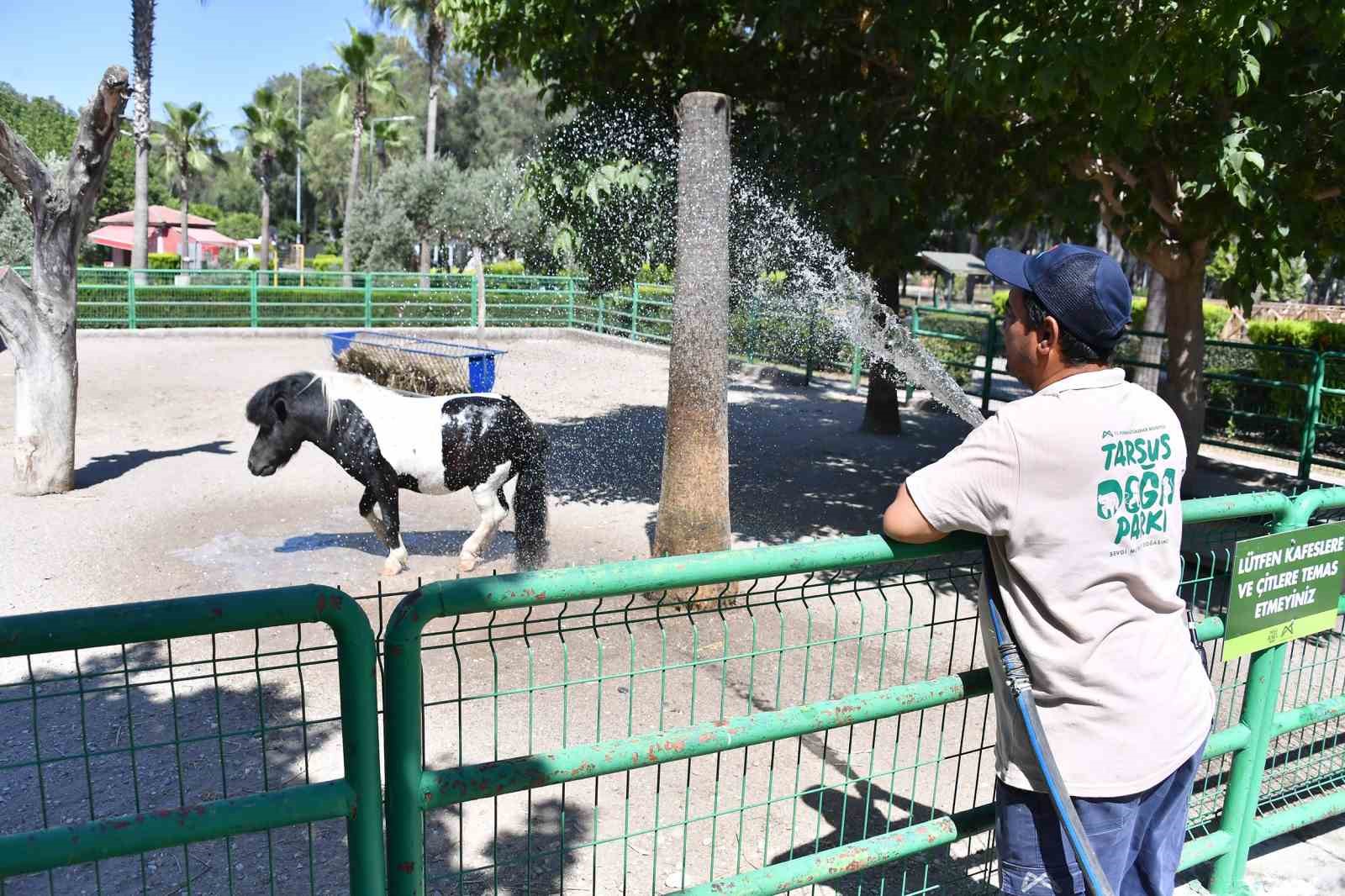 Tarsus Doğa Parkı’nda sevimli dostlara serinleten ikram