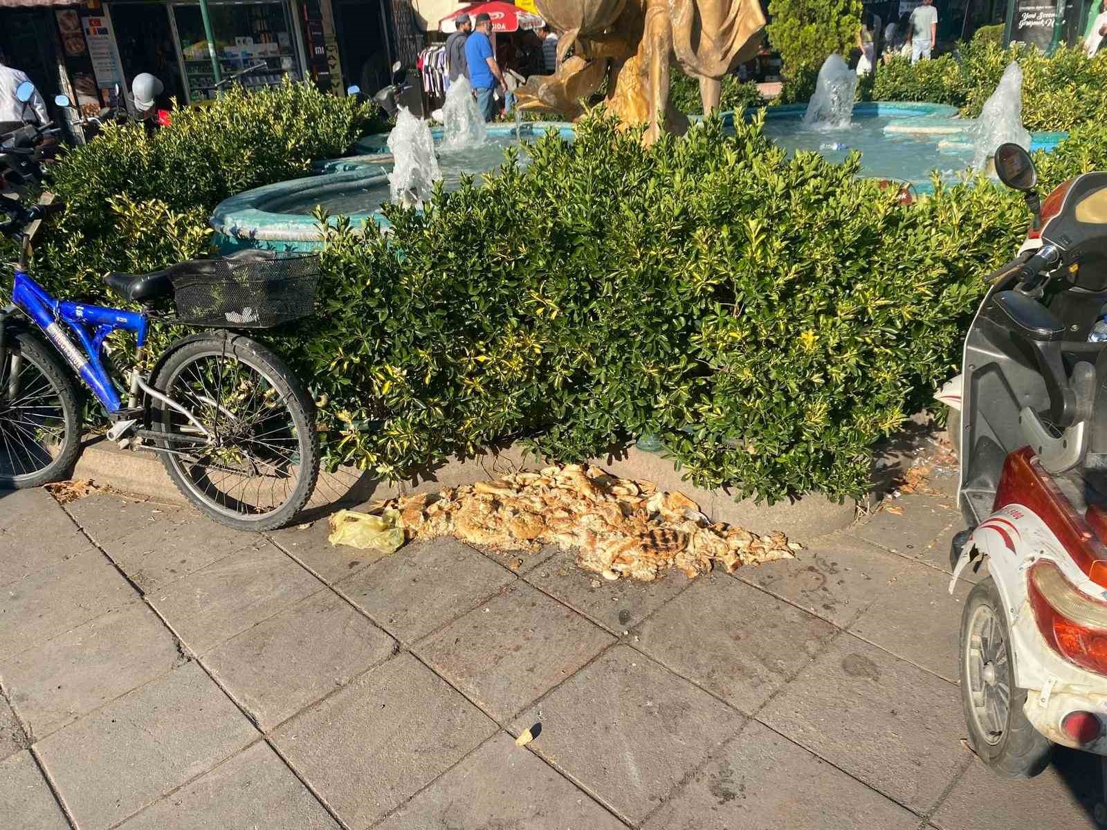 Kuşlar için bırakılan ekmekler çevre kirliliğine neden oldu