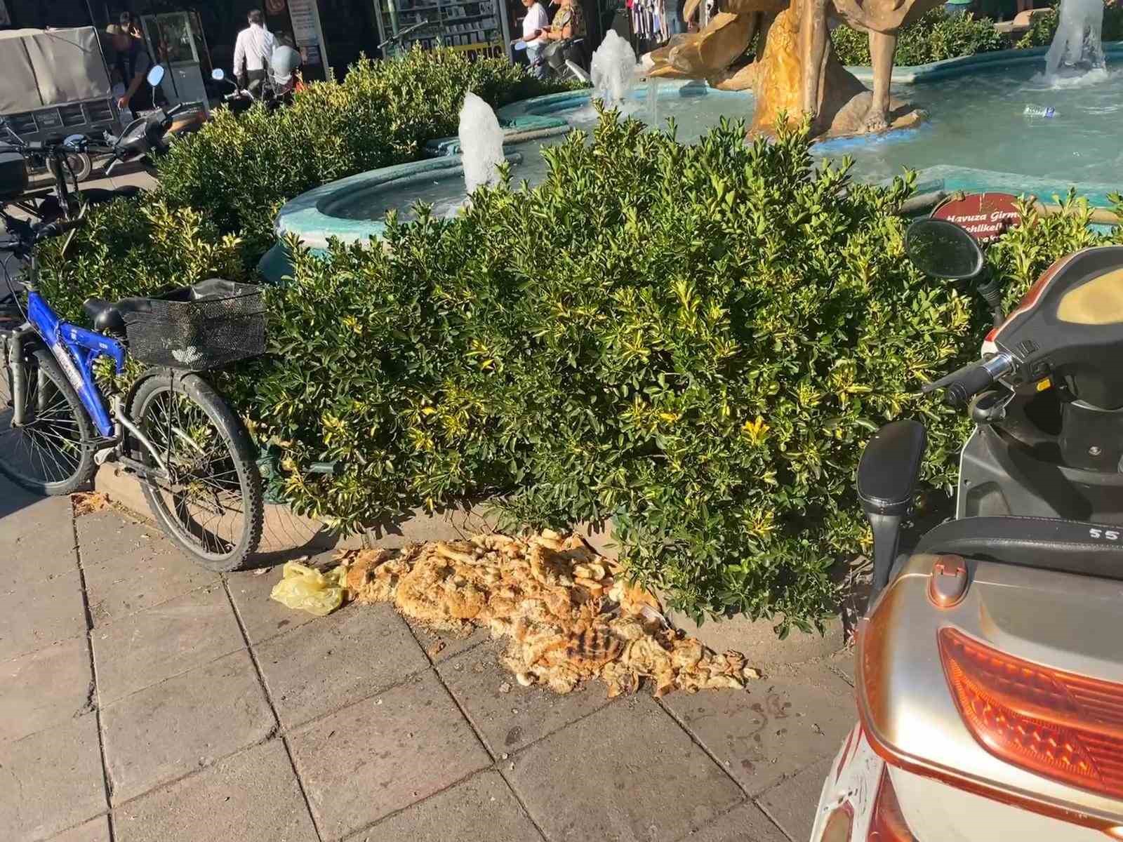 Kuşlar için bırakılan ekmekler çevre kirliliğine neden oldu