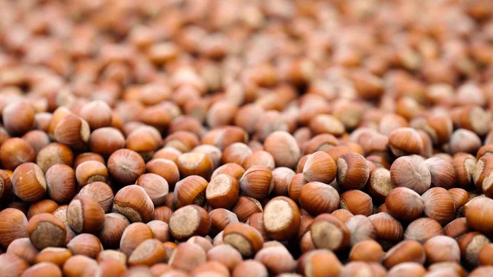 Ferrero: 