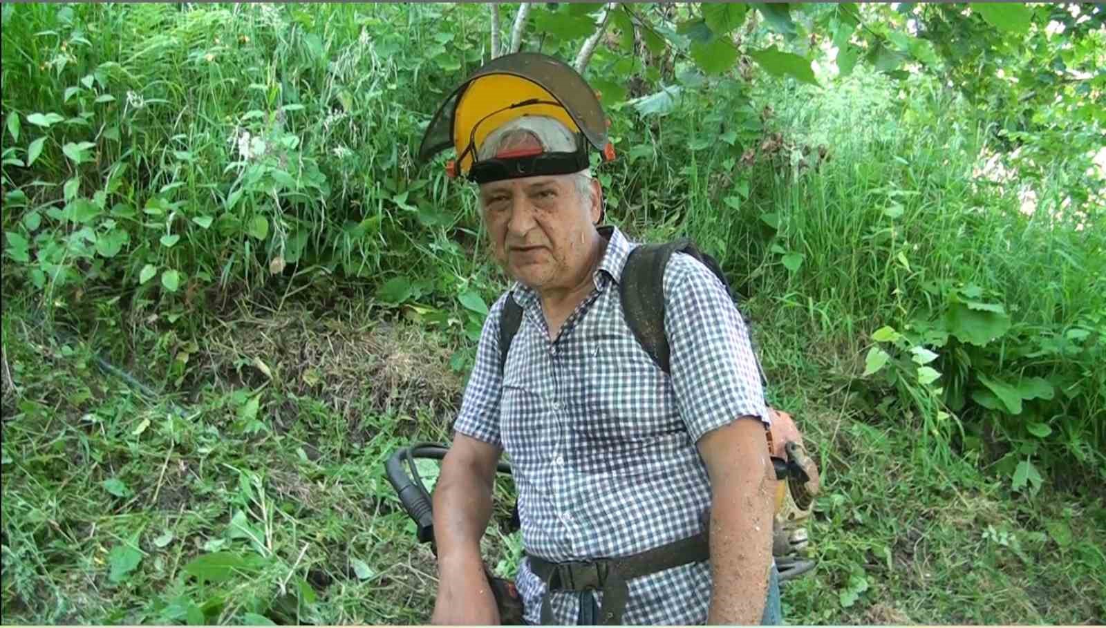 Fındık bahçelerinde ot mesaisi cep yakıyor