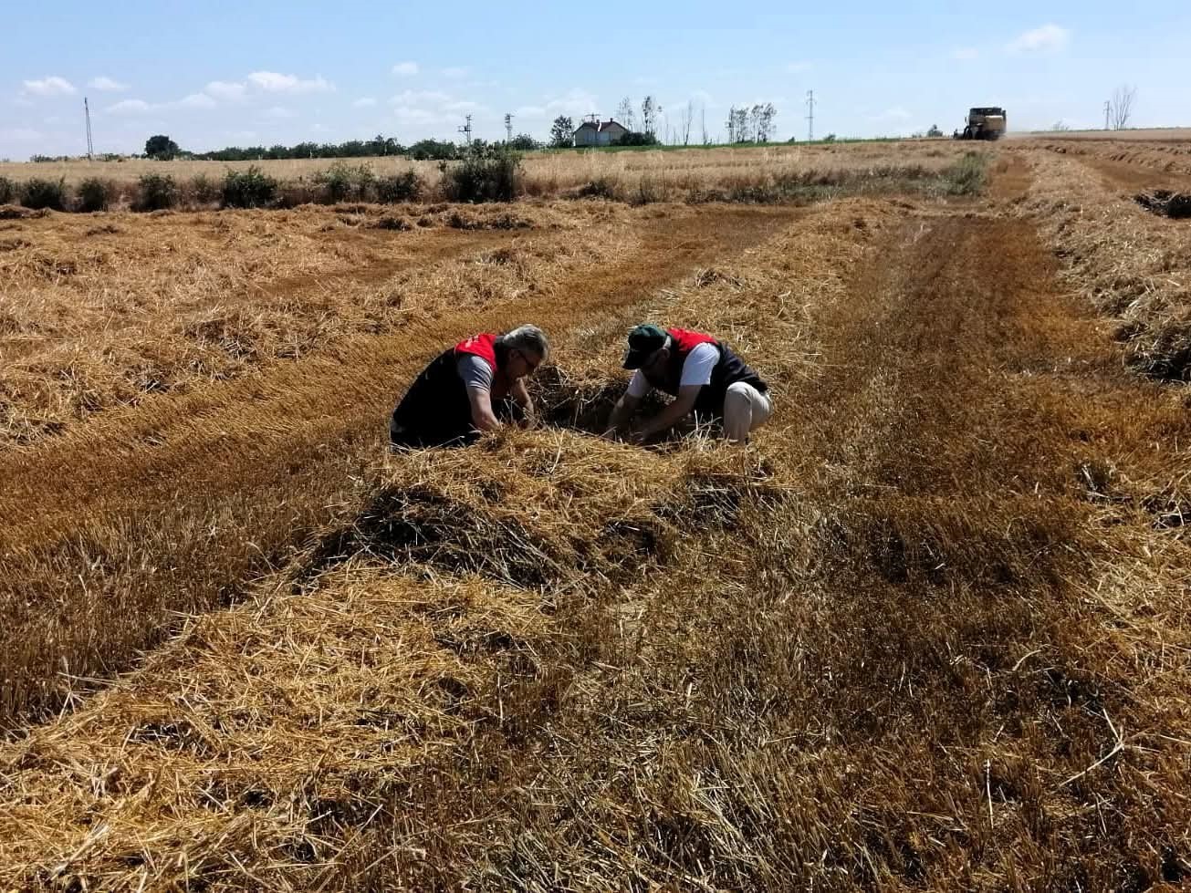 Kırklareli’nde hasat sezonunda biçerdöver denetimleri sürüyor