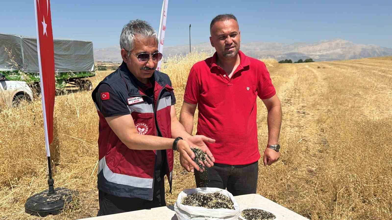 Adıyaman’da çörek otu hasadı başladı