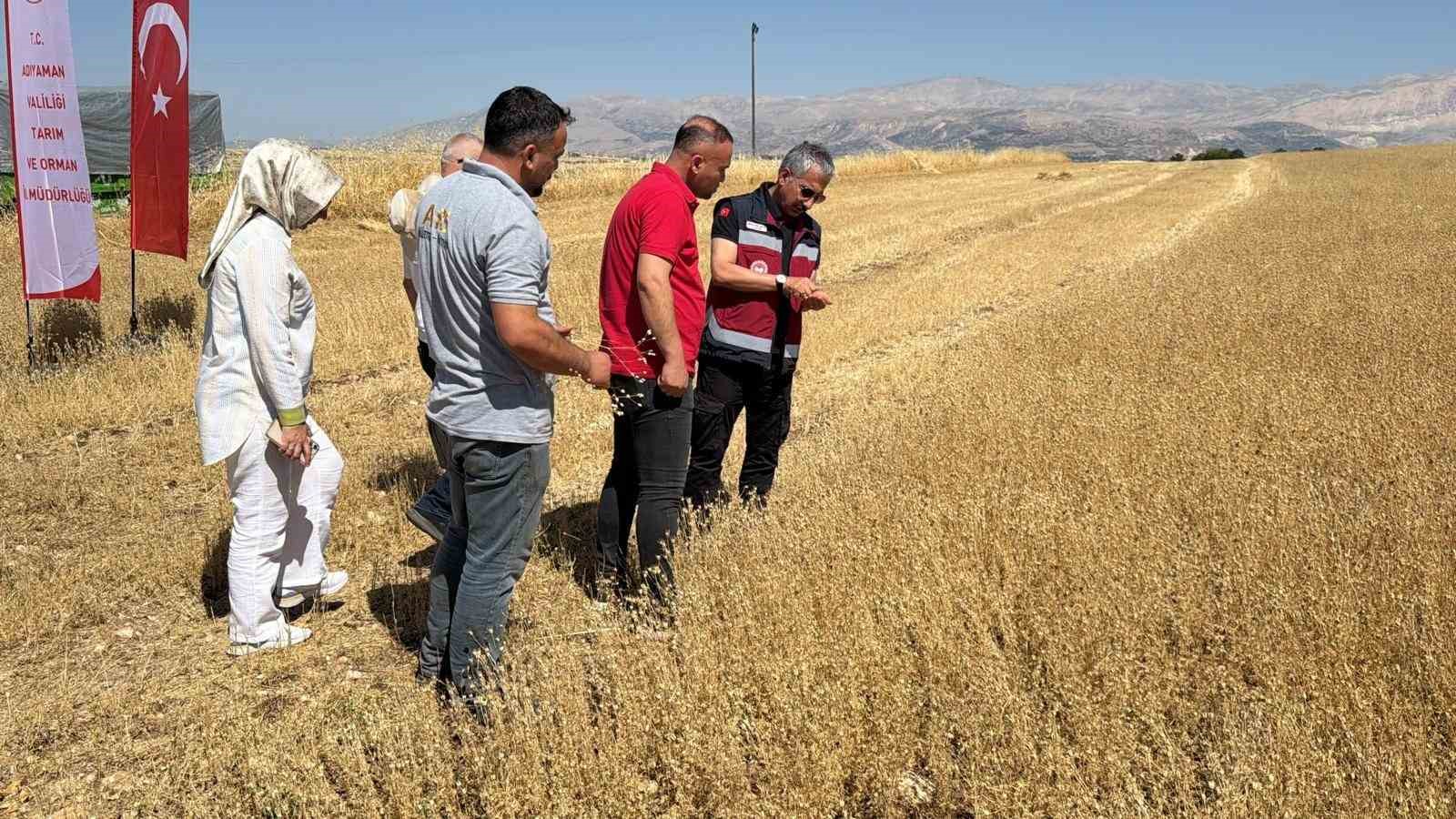 Adıyaman’da çörek otu hasadı başladı