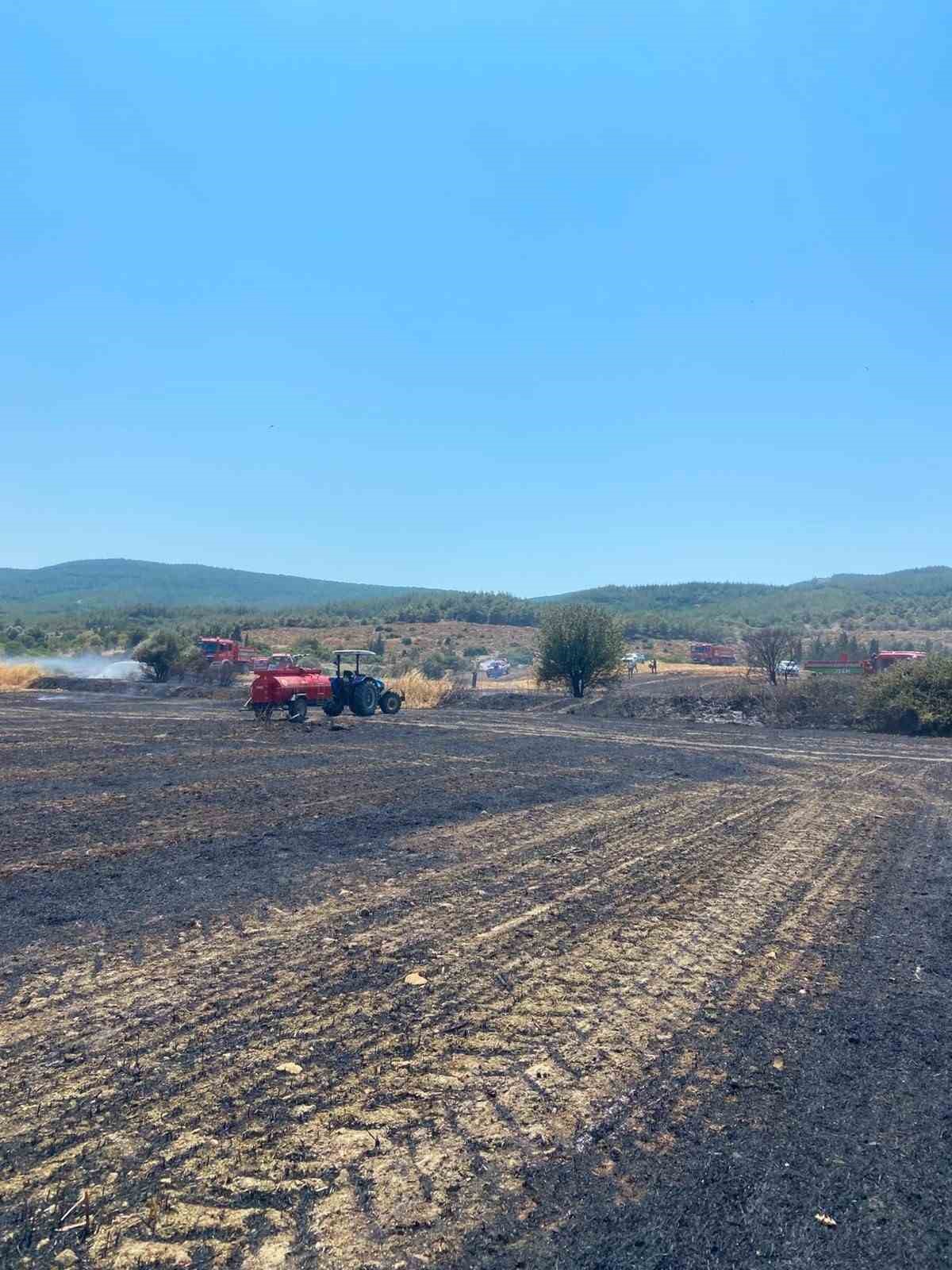 Çanakkale’deki yangında 10 dönüm tarım arazisi zarar gördü