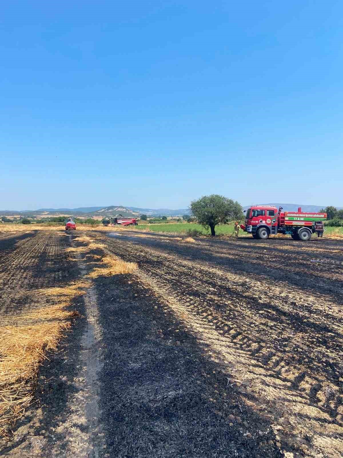 Çanakkale’deki yangında 10 dönüm tarım arazisi zarar gördü