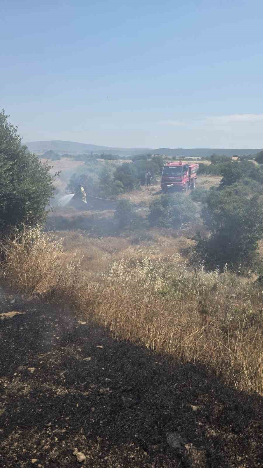 Çanakkale’deki yangında 10 dönüm tarım arazisi zarar gördü