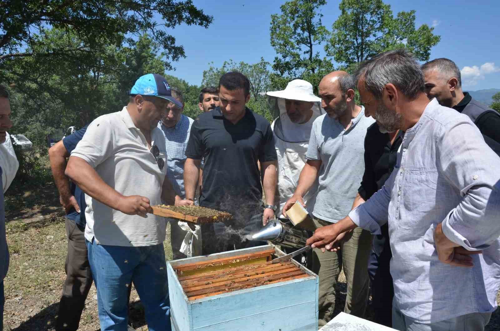 Emet Kaymakamı Başkapan, arıcılarla bir araya geldi