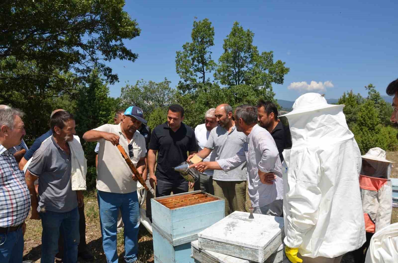 Emet Kaymakamı Başkapan, arıcılarla bir araya geldi