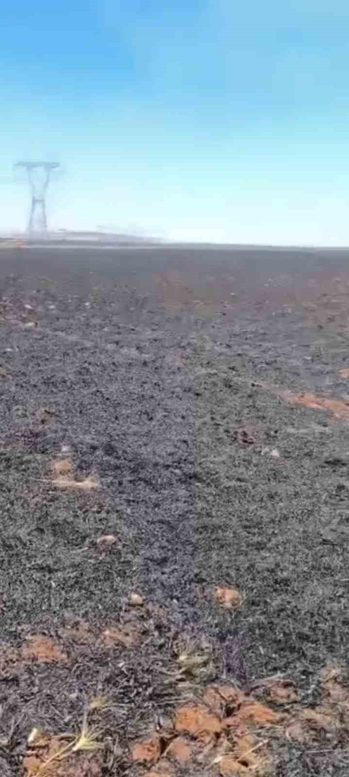 Şanlıurfa’da 45 dönüm buğday ekili alan yandı