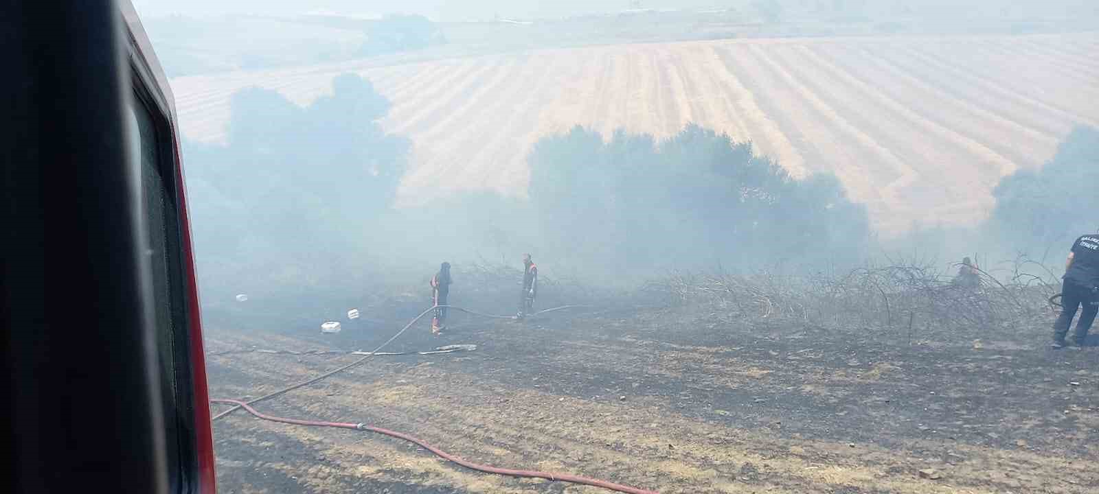 Bandırma’da 4 ayrı noktada başlayan arazi yangını söndürüldü