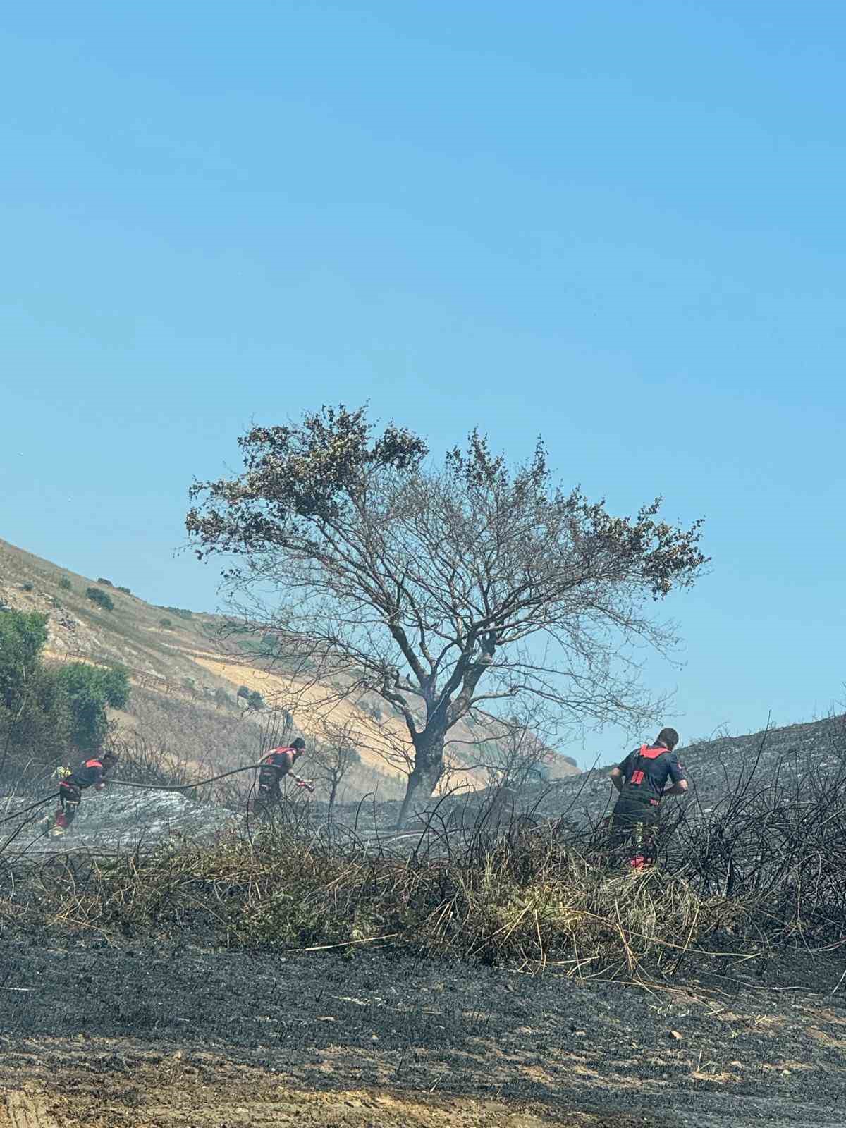Bandırma’da 4 ayrı noktada başlayan arazi yangını söndürüldü