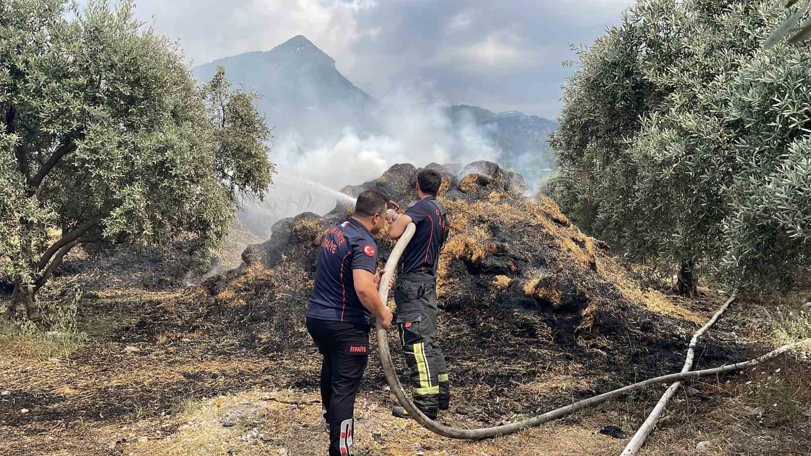 Osmaniye’de bahçedeki saman balyaları yandı, zeytin fidanları zarar gördü