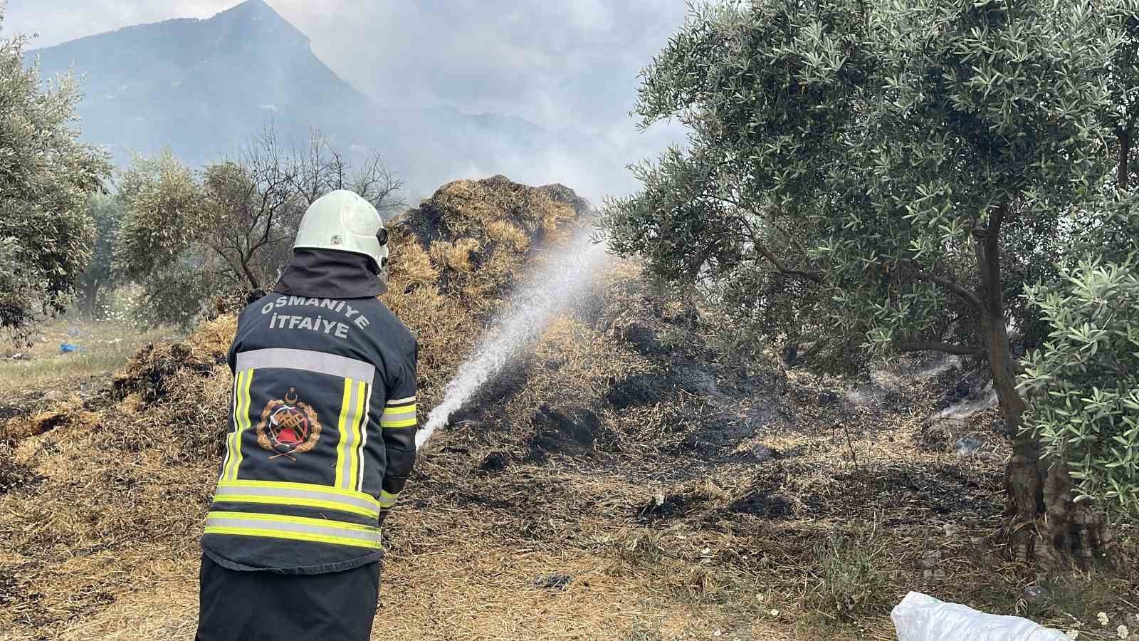 Osmaniye’de bahçedeki saman balyaları yandı, zeytin fidanları zarar gördü