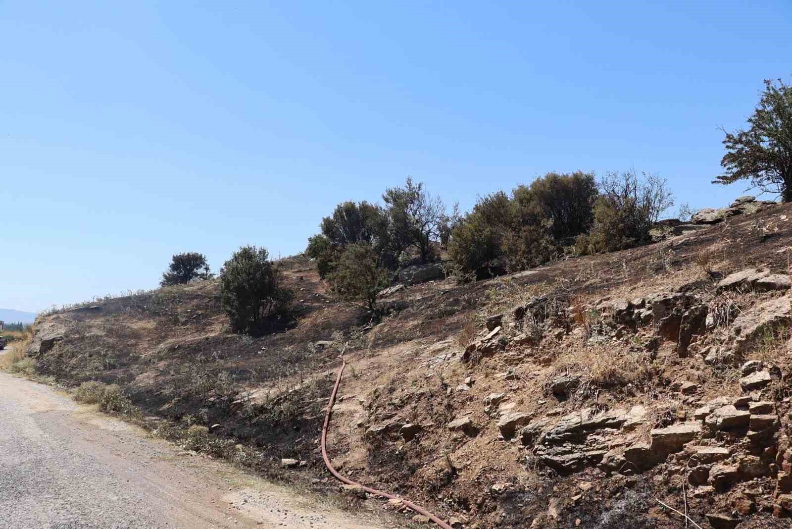 Başkan Arıcı, yangın bölgesinde incelemelerde bulundu