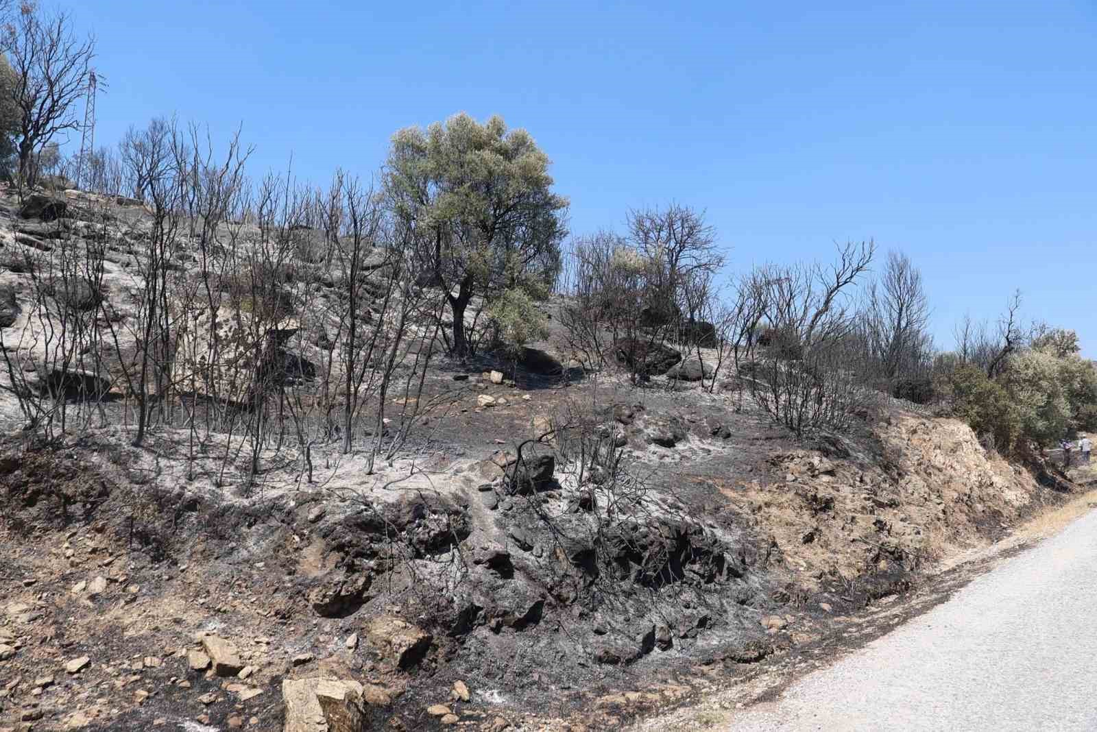 Başkan Arıcı, yangın bölgesinde incelemelerde bulundu