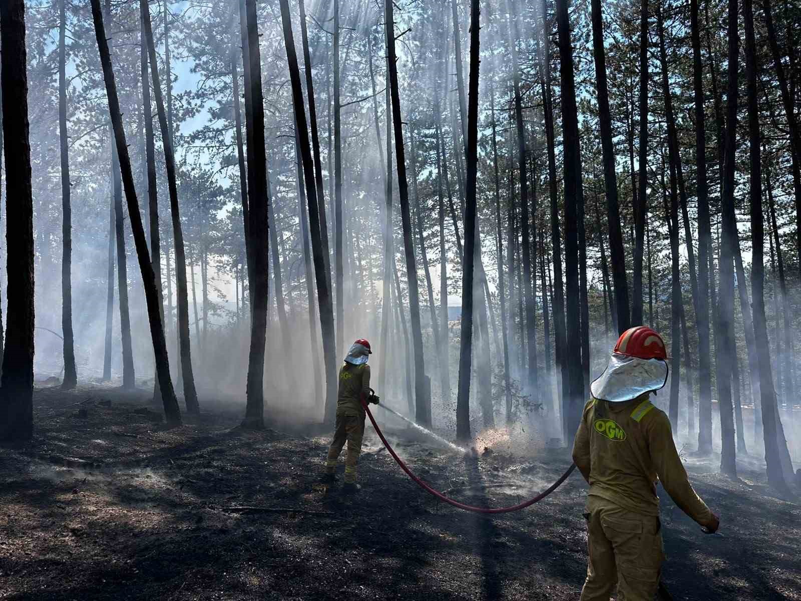 Kastamonu’da orman yangını: Alevlere havadan ve karadan müdahale edildi
