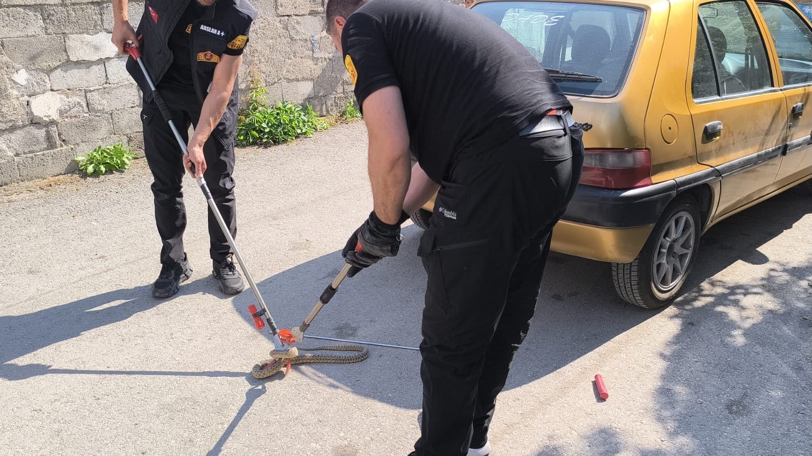 Otomobilin altına giren yılan itfaiye ekiplerince çıkarıldı