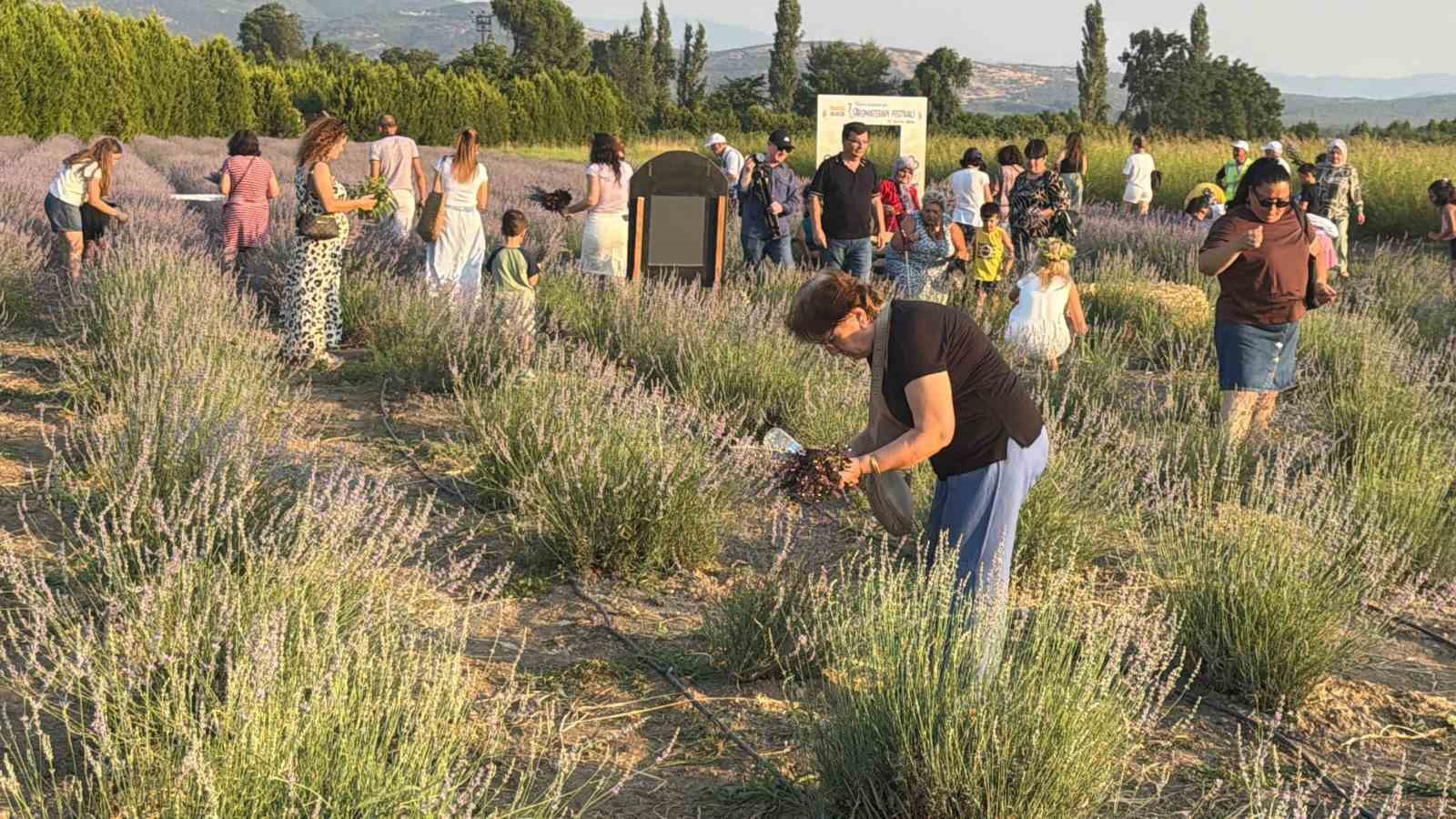 Balıkesir’de 7.Uluslararası Aromaterapi Festivali başladı