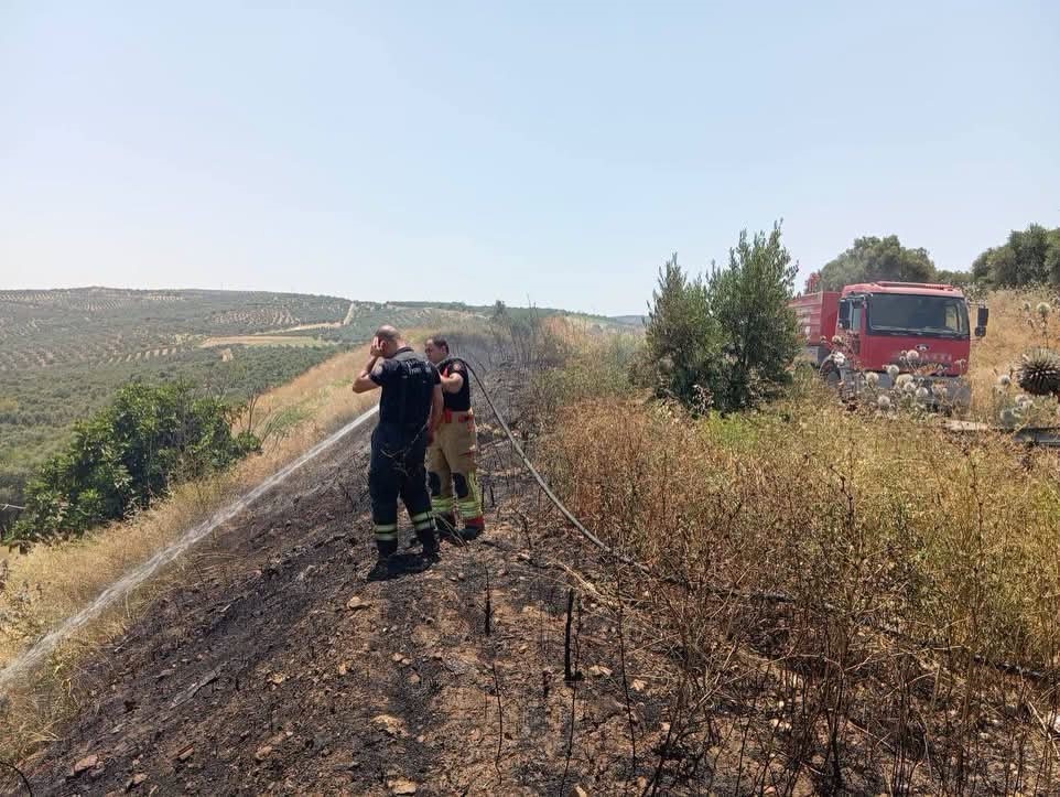 Altınözü’de anız yangını