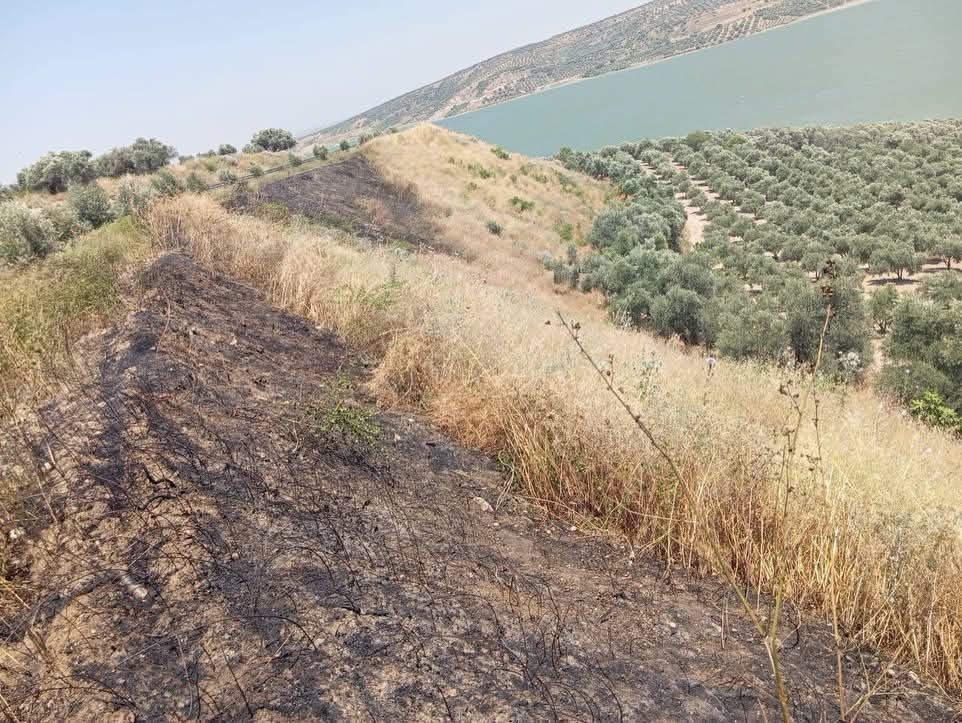 Altınözü’de anız yangını