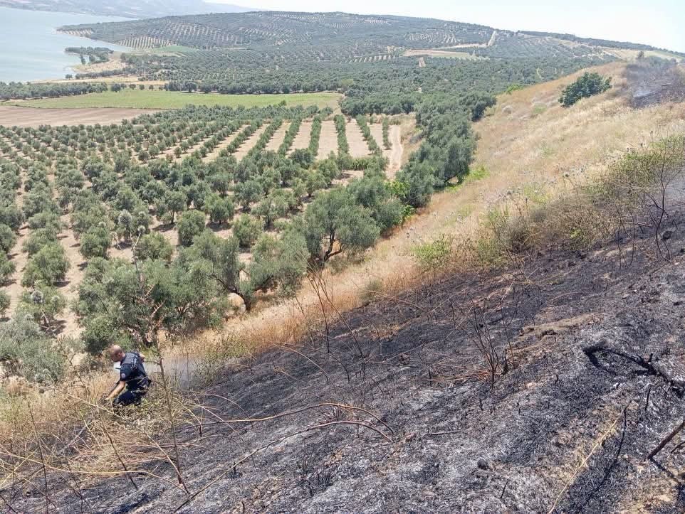 Altınözü’de anız yangını