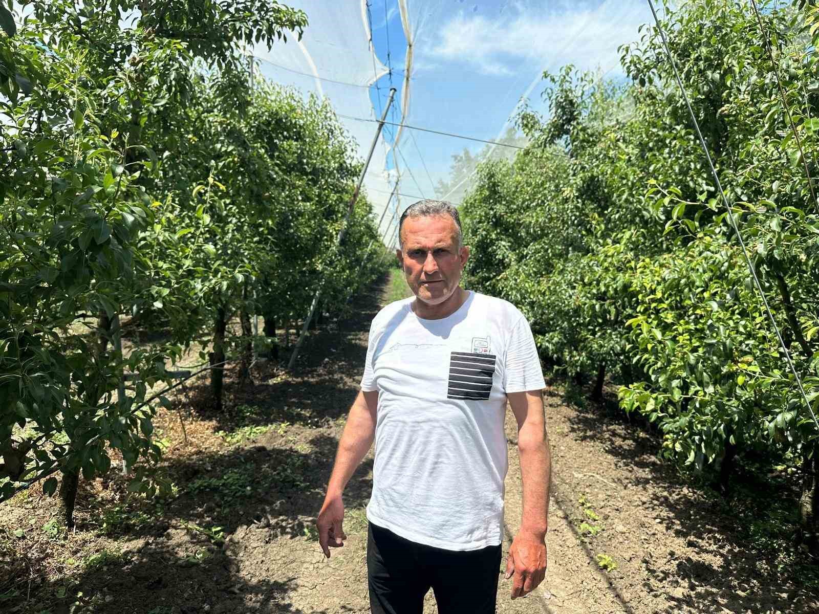Bursa çiftçisi armut ve şeftalisini doludan fileyle koruyor