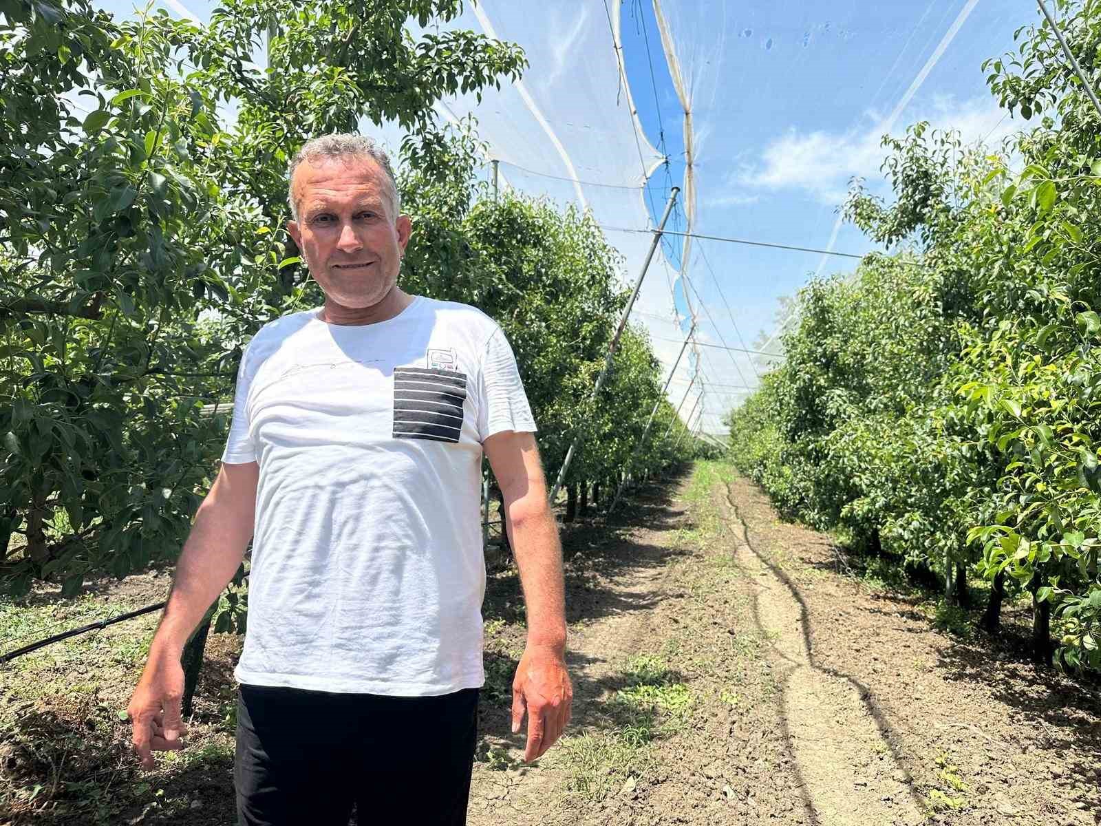 Bursa çiftçisi armut ve şeftalisini doludan fileyle koruyor