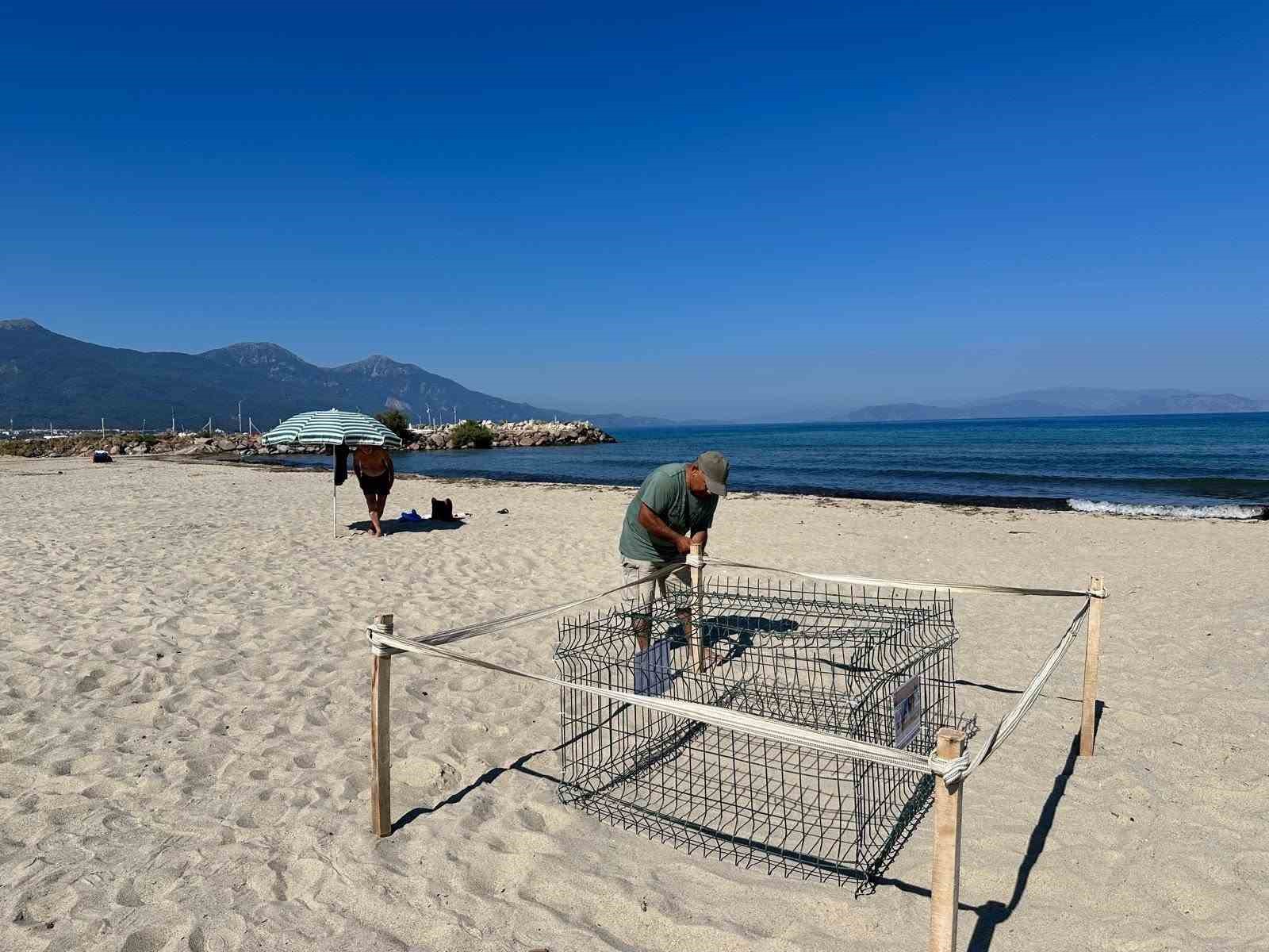 Duyarlı gençlerin ihbarı sayesinde, caretta yuvası koruma altına alındı